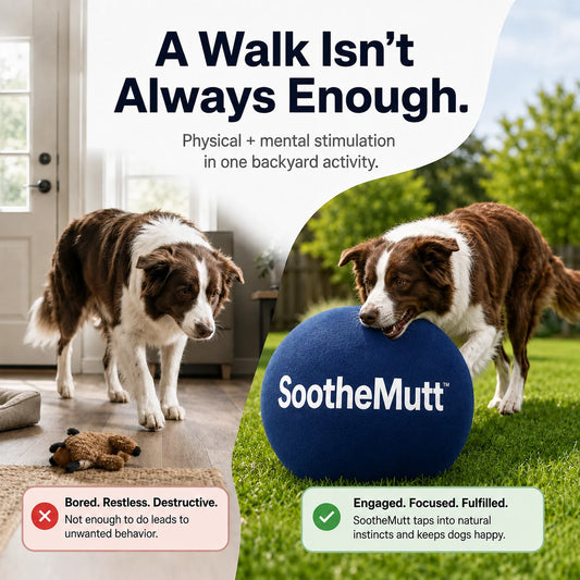 SootheMutt™ Herding Ball