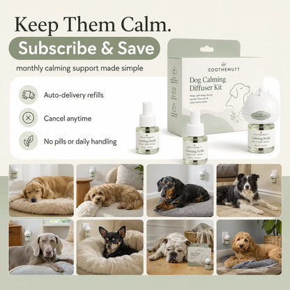 SootheMutt Calming Diffuser — Plug-In Anxiety Relief for Dogs
