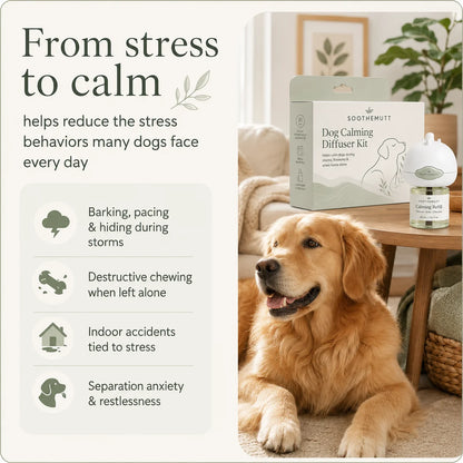 SootheMutt Calming Diffuser — Plug-In Anxiety Relief for Dogs