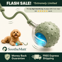 SootheMutt Motion Ball — Interactive Moving Dog Toy