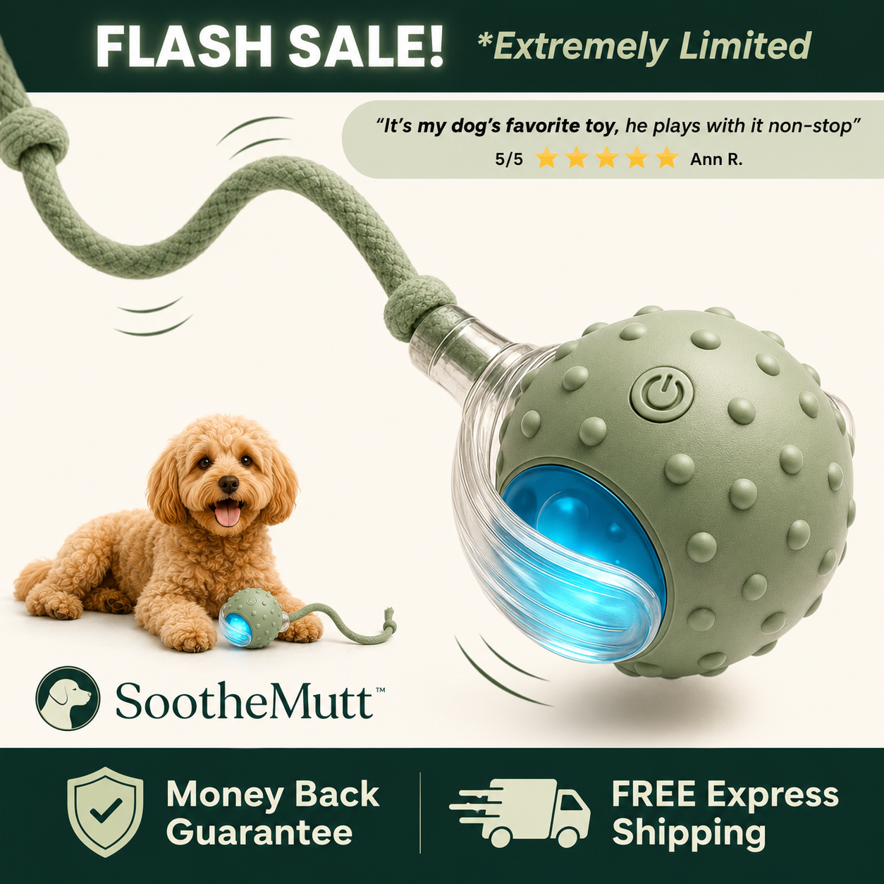 SootheMutt Motion Ball — Interactive Moving Dog Toy