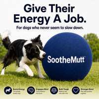 SootheMutt™ Herding Ball