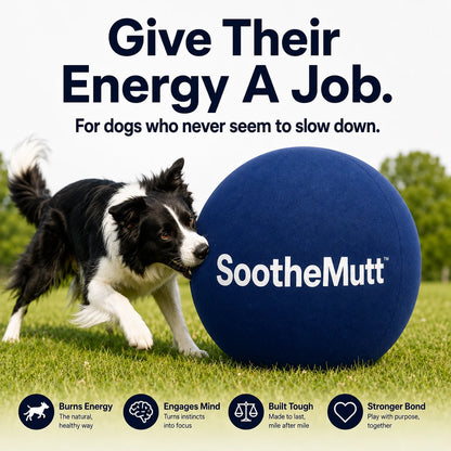 SootheMutt™ Herding Ball