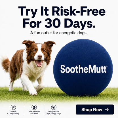 SootheMutt™ Herding Ball