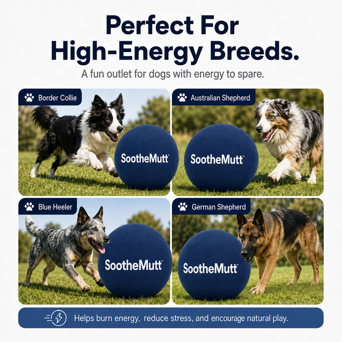 SootheMutt™ Herding Ball
