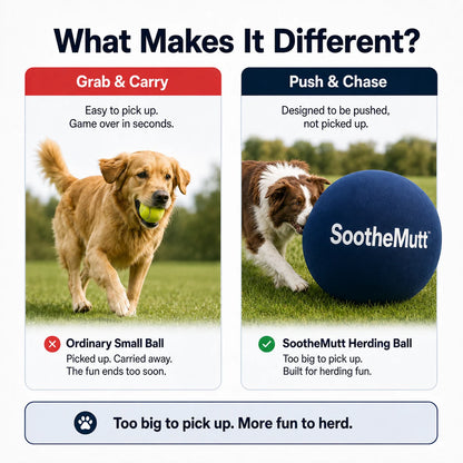 SootheMutt™ Herding Ball